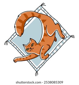 Cute lying ginger cat. The cat is resting and relaxing on the pillow. Graphic print. Vector doodle illustration.