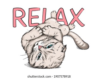 Cute lying lazy cat. Relax illustration. Scottish fold cat illustration in hand drawn style. Stylish image for printing on any surface