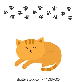 Cute lying sleeping orange cat with moustache whisker. Funny cartoon character. Black animal paw print. White background. Isolated. Flat design. Vector illustration