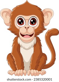 Cute Macaca cartoon on white background