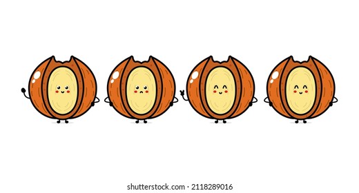 Cute macadamia character. Vector hand drawn cartoon character illustration icon. Isolated on white background. Macadamia character concept