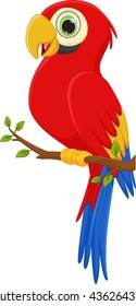 Cute Macaw Bird Cartoon