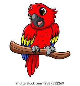 Cute macaw bird cartoon on white background