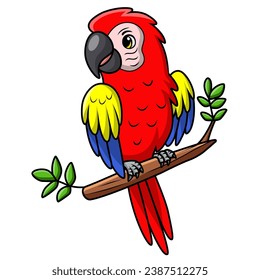 Cute macaw bird cartoon on white background