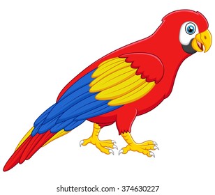 Cute macaw bird cartoon posing
