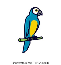 Cute macaw bird exotic animal mascot design illustration