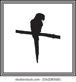 A cute macaw bird siting silhouette.