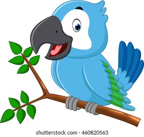 cute macaw cartoon
