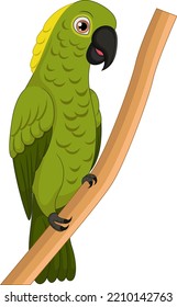 Cute Macaw Cartoon On Tree Branch