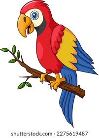 Cute macaw cartoon on tree branch