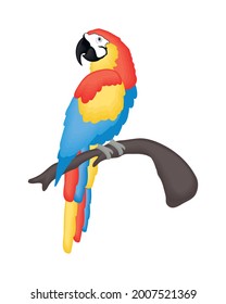 Cute Macaw Cartoon On White Background Stock Vector (Royalty Free ...