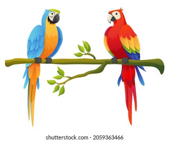 Cute macaw parrot birds set perched on a branch cartoon illustration