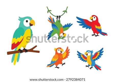Cute Macaw and Parrot Character Set and Poses Vector Bundle