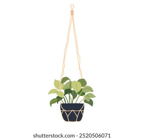 Cute macrame hanging plant in pot. Garden house indoor hanger flowerpot. Hanging home plant for interior decor. Vector flat illustration