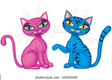Cute magenta kitty and tabby blue cat