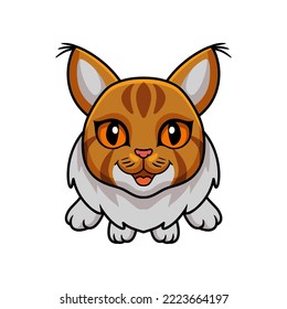 Cute maine coon cat cartoon flying