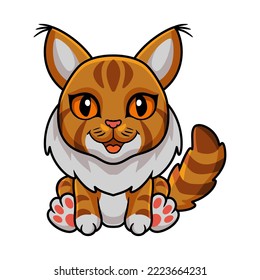 Cute maine coon cat cartoon