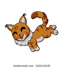 Cute maine coon cat cartoon
