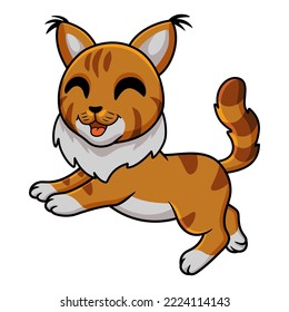 Cute maine coon cat cartoon