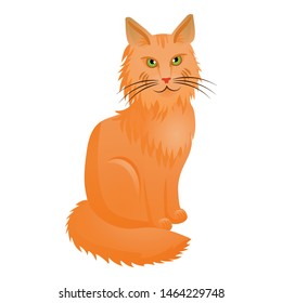 Cute maine coon icon. Cartoon of cute maine coon vector icon for web design isolated on white background