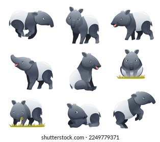 Cute Malayan Tapir as Asian Animal with White Patch and Short Nose Trunk in Different Pose Vector Set