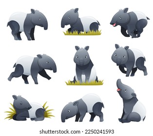 Cute Malayan Tapir as Asian Animal with White Patch and Short Nose Trunk in Different Pose Vector Set