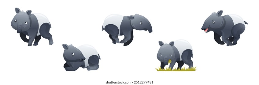 Tapir malaio bonito como animal asiático com mancha branca e tronco de nariz curto em conjunto de vetor de postura diferente