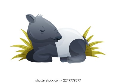 Cute Malayan Tapir Sleeping in Grass as Asian Animal with White Patch and Short Nose Trunk Vector Illustration