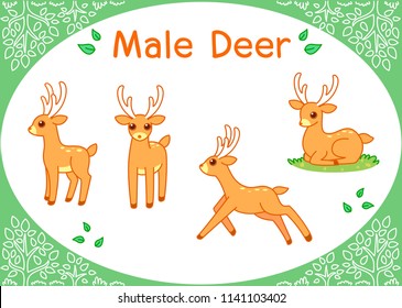 Cute Male Deer Cartoon set
Illustration of Wildlife isolated on a white background.