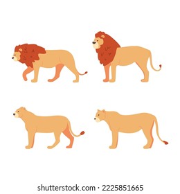 Cute male lion and lioness, Stock Photos simple Vectors design