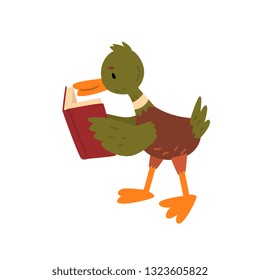 Cute Male Mallard Duck Reading Book, Funny Duckling Cartoon Character Vector Illustration