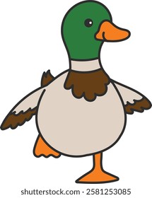 Cute mallard duck illustration isolated on white