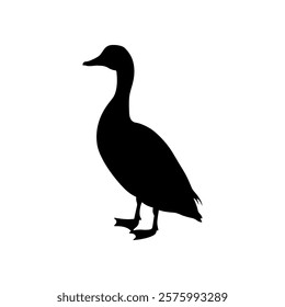 Cute mallard duck silhouette icon vector illustration design on white background.