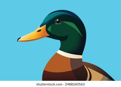 Cute mallard ducks vector clipart, perfect for printable digital graphics and designs