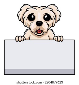 Cute maltese puppy dog cartoon holding blank sign