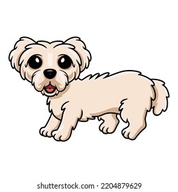 Cute maltese puppy dog cartoon
