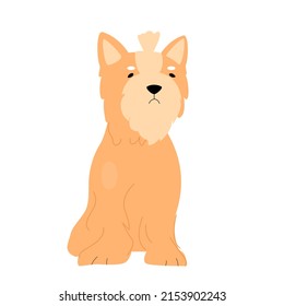 Cute Maltese Puppy Dog. Fluffy Adorable Pet, Domestic Doggie Friend Vector Illustration