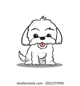 Cute Maltese White Puppy Cartoon Vector, for design, banner, logo