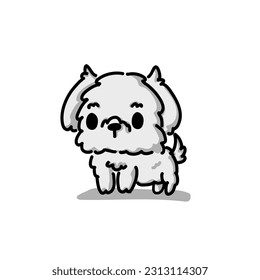 Cute Maltese White Puppy Cartoon Vector, for design, banner, logo