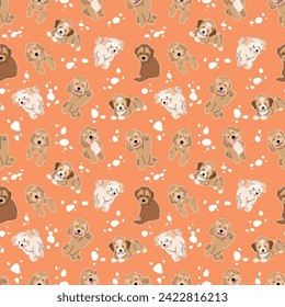 CUTE MALTIPOO IN SOME MOVES PATTERN DESIGN