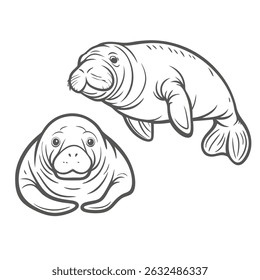 Cute Manatee Line Art Illustration, Marine Mammals