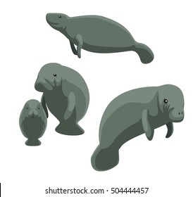 Manatee Illustration の画像 写真素材 ベクター画像 Shutterstock