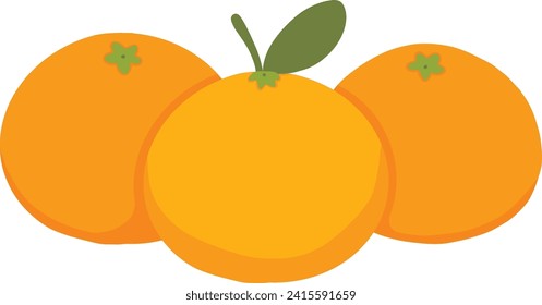Cute Mandarin Oranges Fruit Illustration