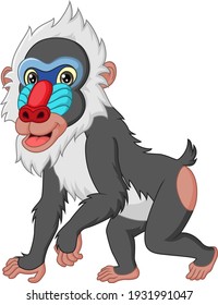 Cute mandrill baboon cartoon isolated on white background