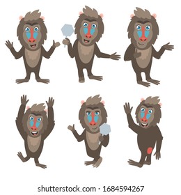 Cute mandrill monkeys in some poses. Vector illustrations of animal characters 