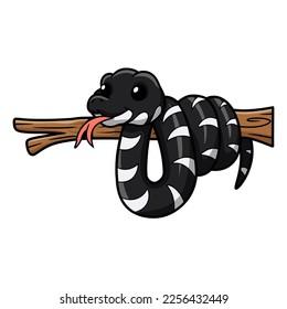 Cute mangrove snake cartoon (boiga dendrophila)