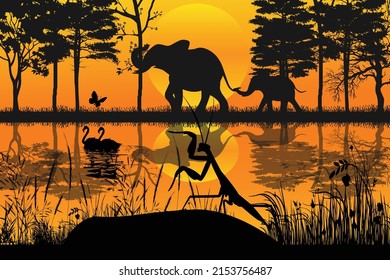cute mantis animal with sunset silhouette