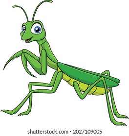 Cute Mantis cartoon vector illustration
