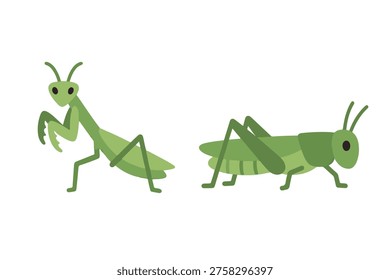 Cute Mantis and Grasshopper Character Set, Green Garden Insects Collection, Flat Vector Illustration for Kids Education and Biology