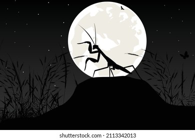 cute mantis and moon silhouette graphic